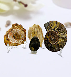 Gems, Minerals, & Fossils