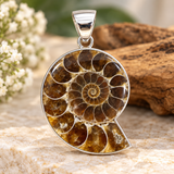 Ammonite Fossil Pendant Sterling Silver