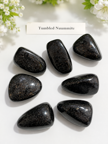 Nuummite Tumble