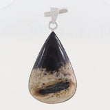 100% Natural Petrified wood Pendant 925 Sterling Silver