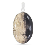 100% Natural Petrified wood Pendant 925 Sterling Silver