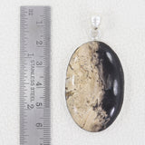 100% Natural Petrified wood Pendant 925 Sterling Silver