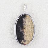 100% Natural Petrified wood Pendant 925 Sterling Silver