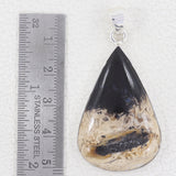 100% Natural Petrified wood Pendant 925 Sterling Silver