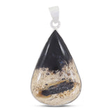 100% Natural Petrified wood Pendant 925 Sterling Silver