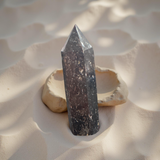 Astrophyllite With Garnet Standing Points