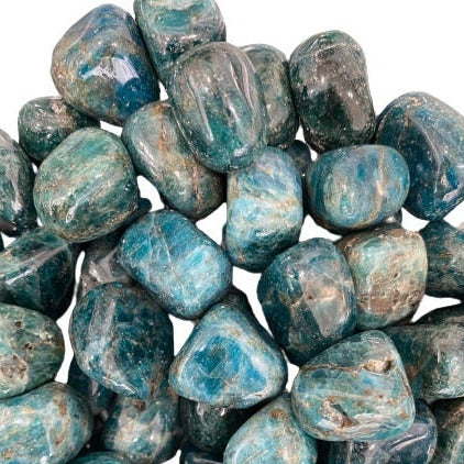 Apatite Blue Small Pebbles