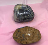 Dendrite Agate 1 Side Polished