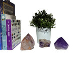 Moroccan Amethyst Crystal Points