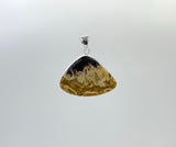 Fossilized Palm Wood Pendant
