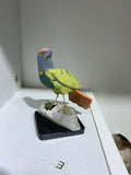 Birds on Stones