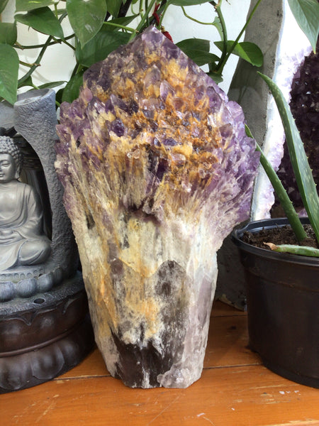 Cathedral Elestial Amethyst