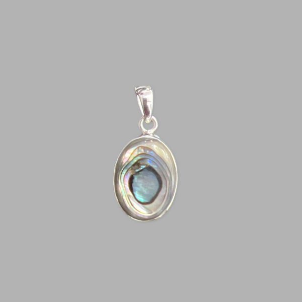 Abalone Shell pendant