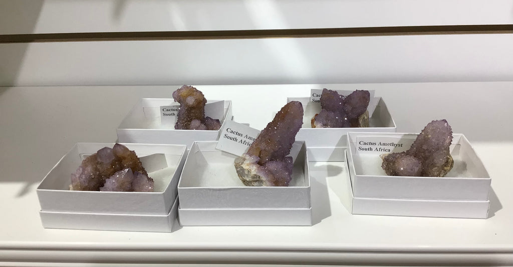 Cactus Amethyst From South Africa