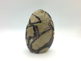 Septarian Free Form