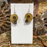 Ammonite Earrings