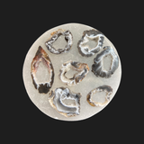 Agate Geode Slices