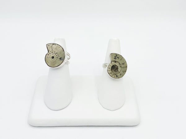 Pyritized Ammonite Rings