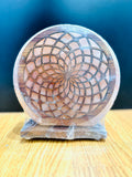 3D Himalayan Salt Lamps
