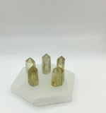 Citrine Standing Points