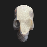 Agate Skull