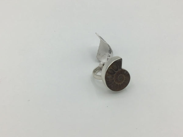 Ammonite Size -7 Rings Sterling Silver