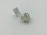 Shell Size 7 Rings Sterling Silver