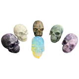 Assorted Skulls