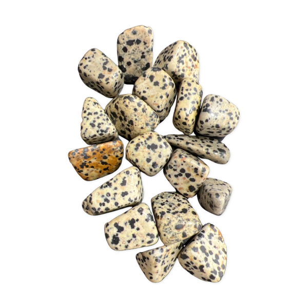 Dalmatian Jasper Tumble