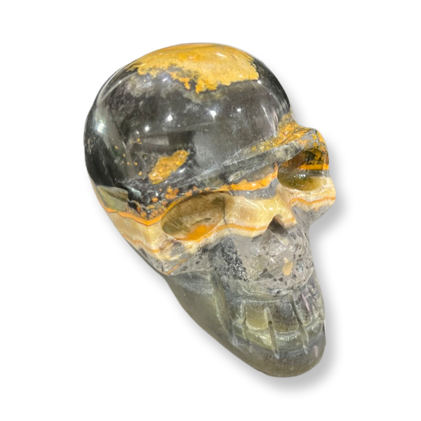 Bumblebee Jasper Skulls