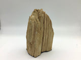 Petrified Wood standing point