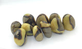 Septarian Free Form