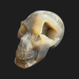 Agate Skull