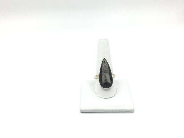 Orthoceras Size -10 Rings Sterling Silver