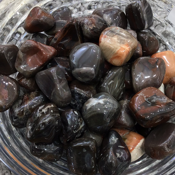 Petrified Wood Tumbled Stone