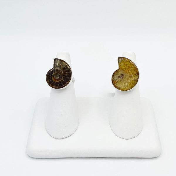 Ammonite Rings