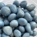 Angelite Pebbles Small